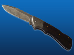 Folding Knife