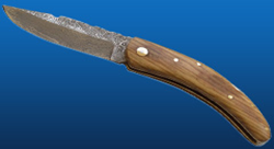 Folding Knife