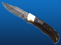 Folding Knife